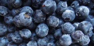 how-to-freeze-blueberries