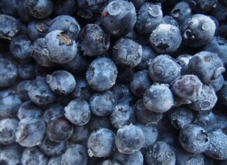 how-to-freeze-blueberries