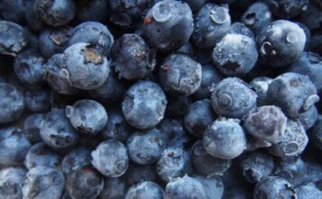 how-to-freeze-blueberries